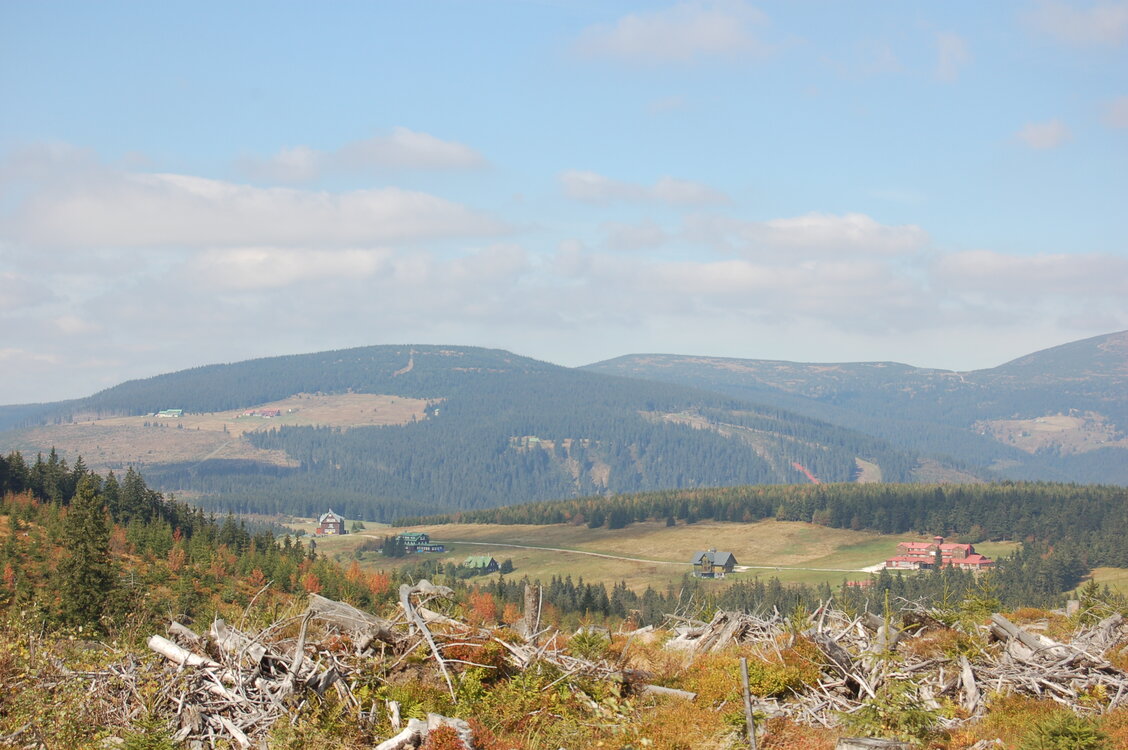 an1_008718.jpg