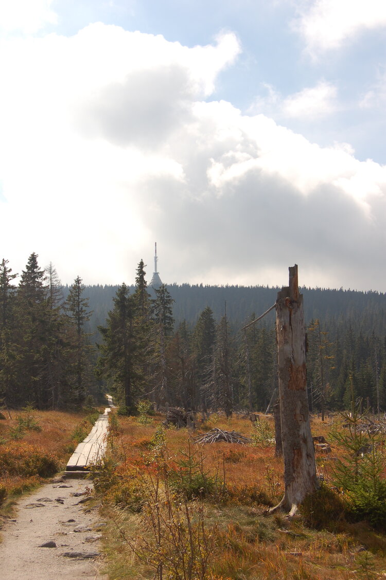 an1_008719.jpg