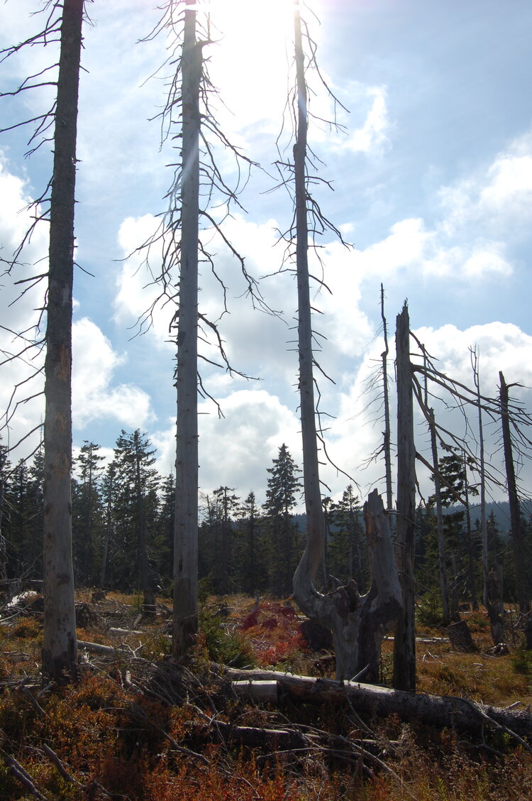 an1_008720.jpg