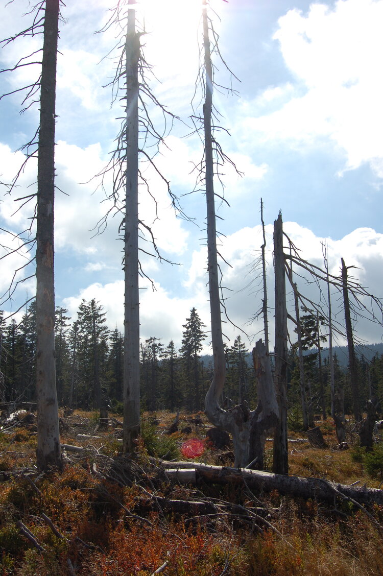 an1_008721.jpg