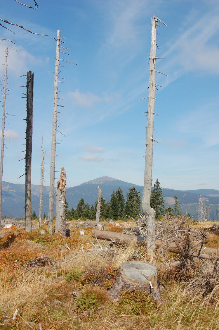 an1_008724.jpg
