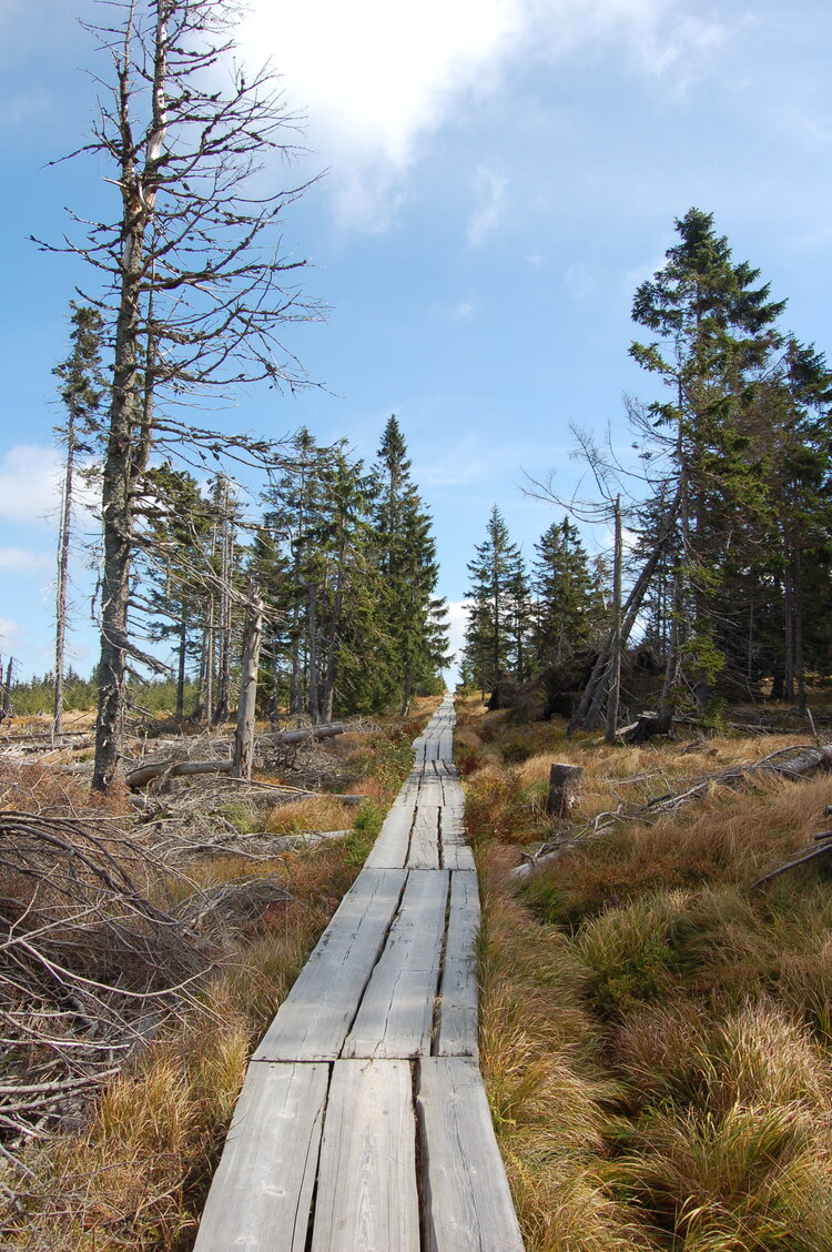 an1_008725.jpg