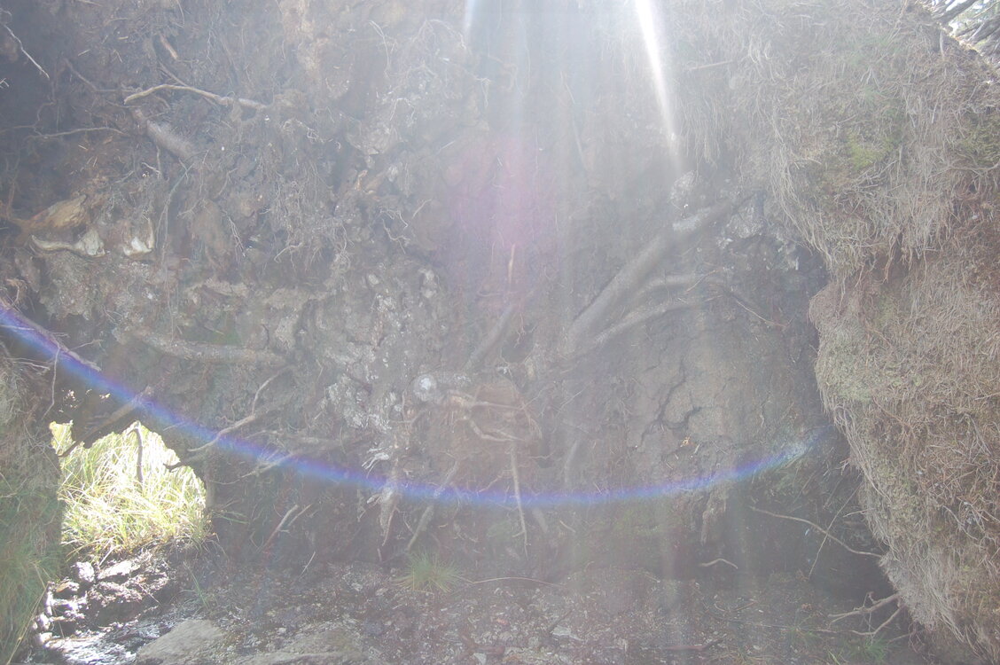 an1_008727.jpg