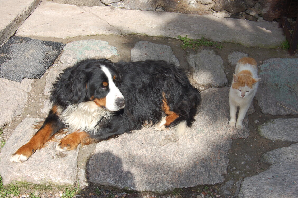an1_008740.jpg