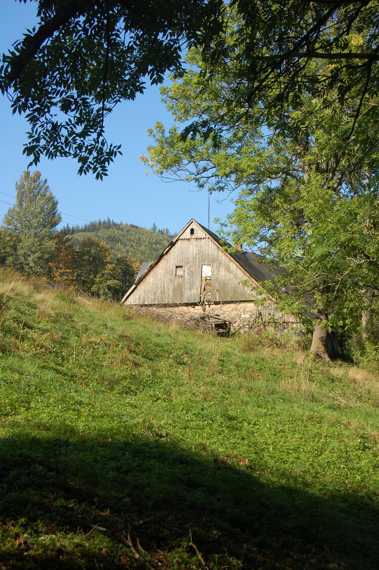 an1_008750.jpg