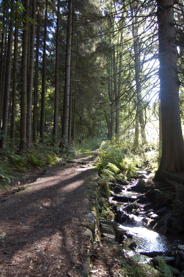 an1_008751.jpg