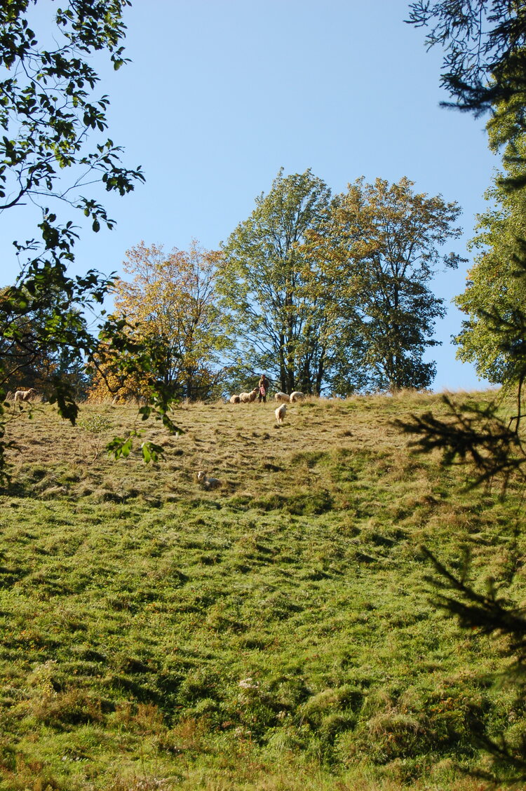 an1_008752.jpg