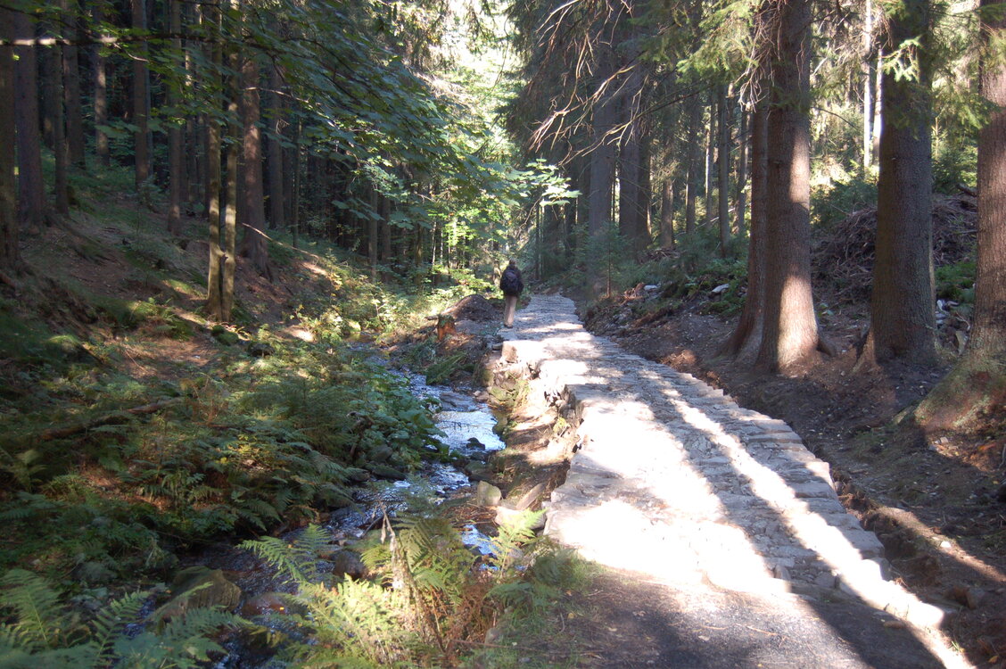 an1_008753.jpg