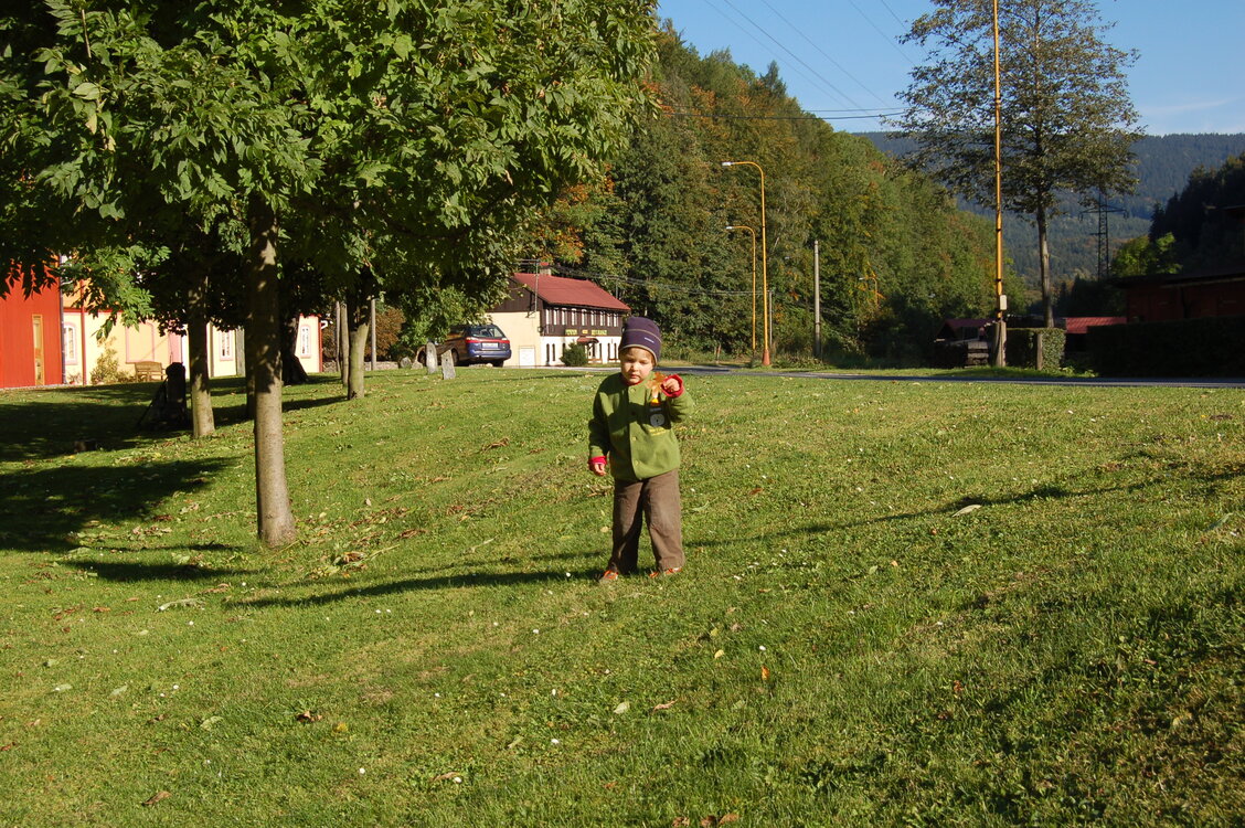 an1_008774.jpg