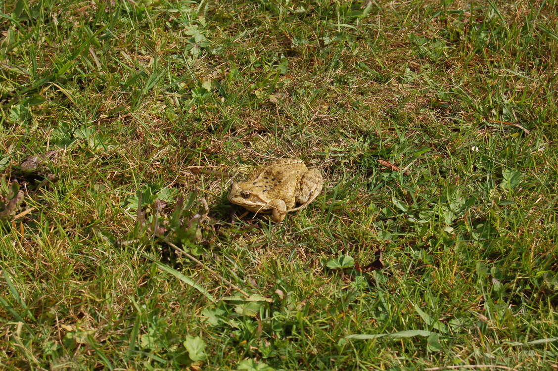 an1_008801.jpg