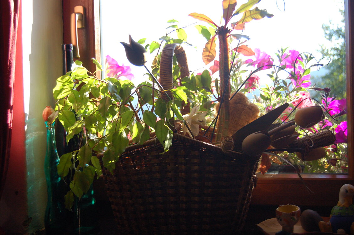 an1_008818.jpg