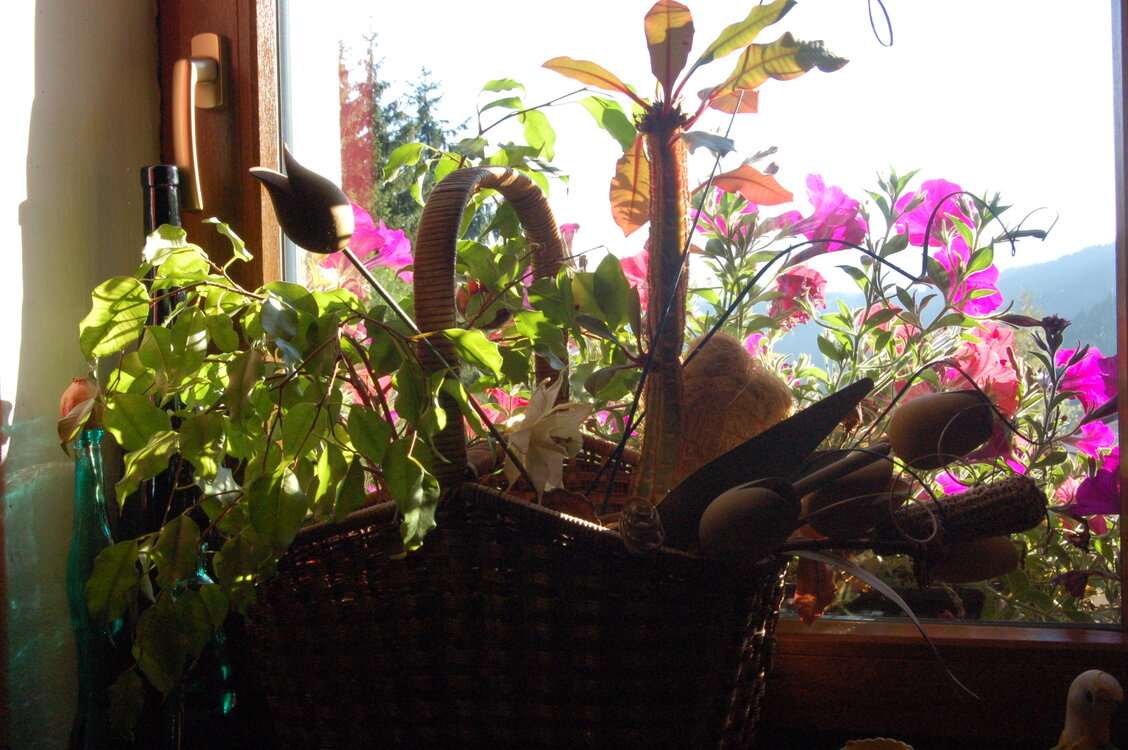 an1_008819.jpg