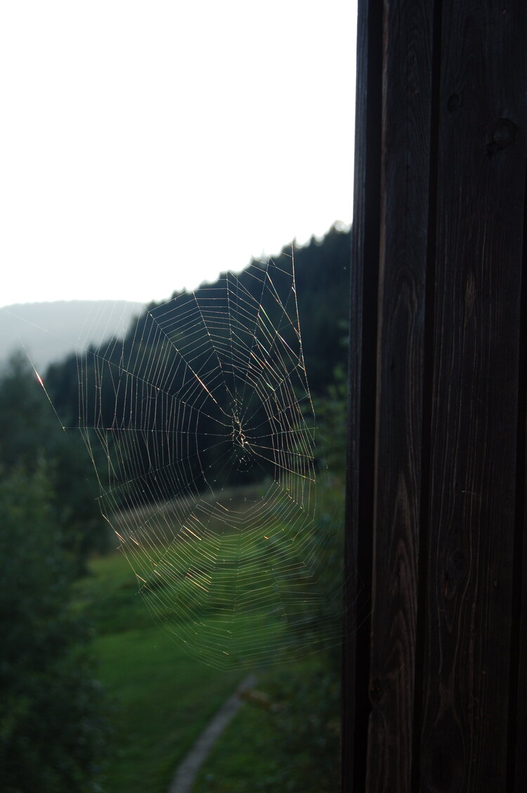 an1_008829.jpg