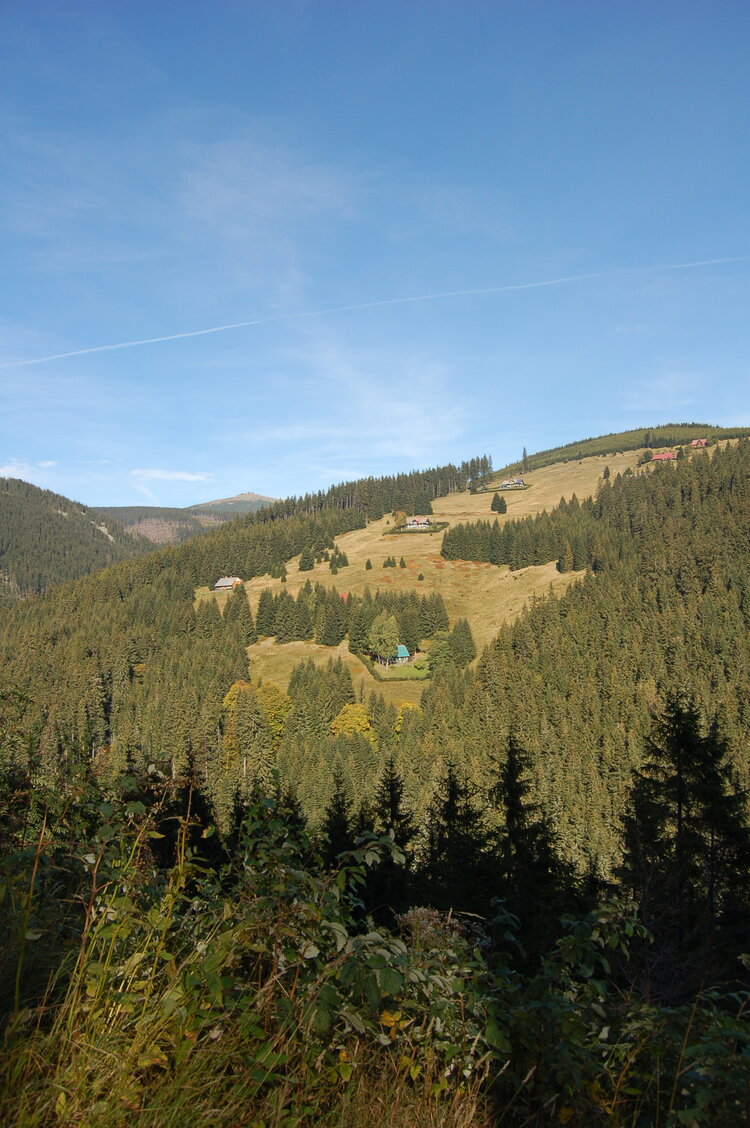 an1_008838.jpg