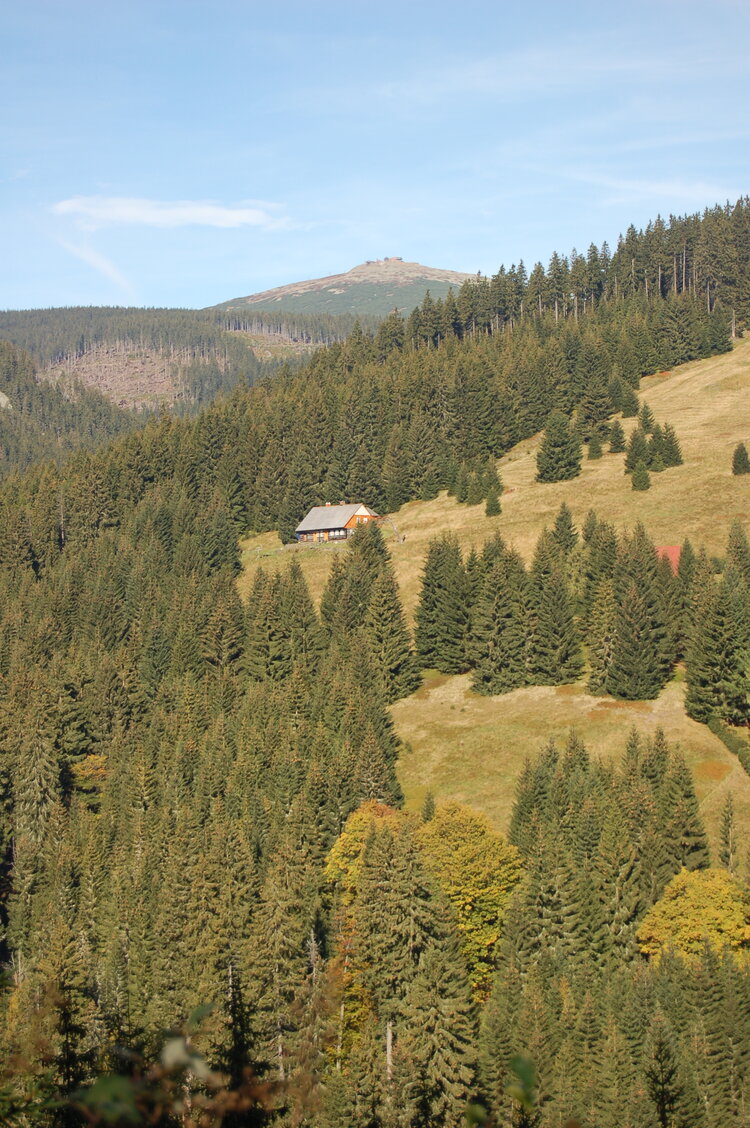 an1_008839.jpg