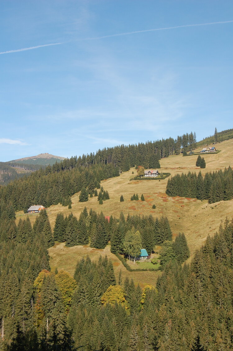 an1_008840.jpg