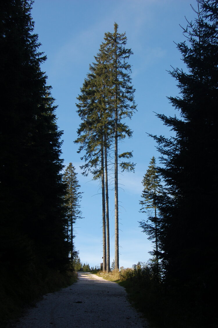 an1_008841.jpg