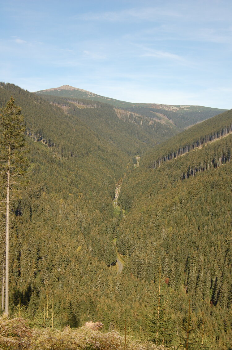 an1_008842.jpg