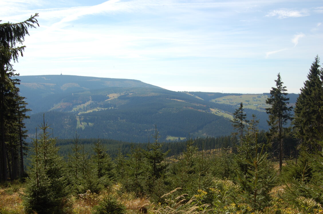 an1_008847.jpg