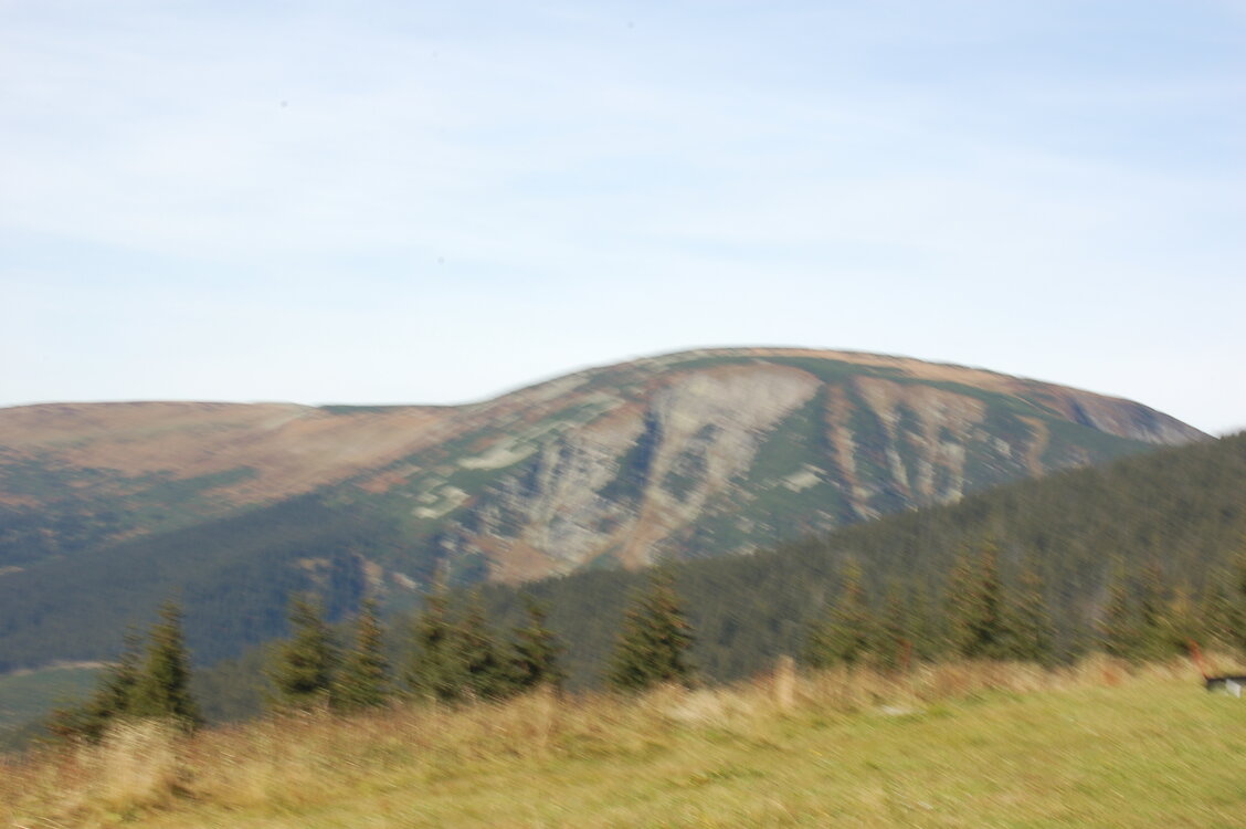 an1_008848.jpg