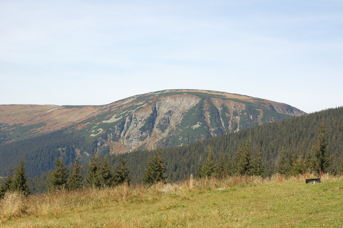 an1_008849.jpg