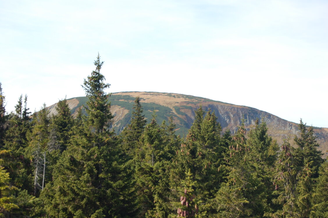 an1_008868.jpg