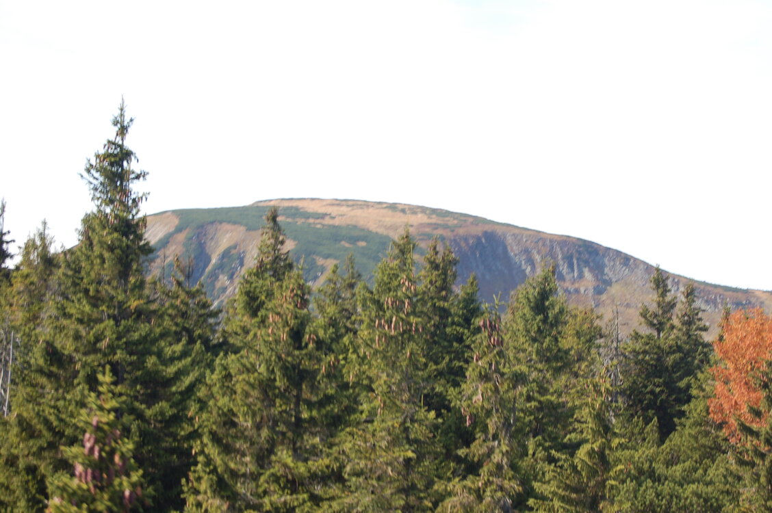 an1_008869.jpg