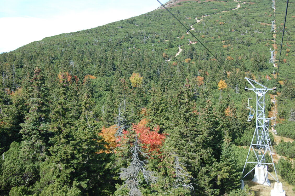 an1_008870.jpg