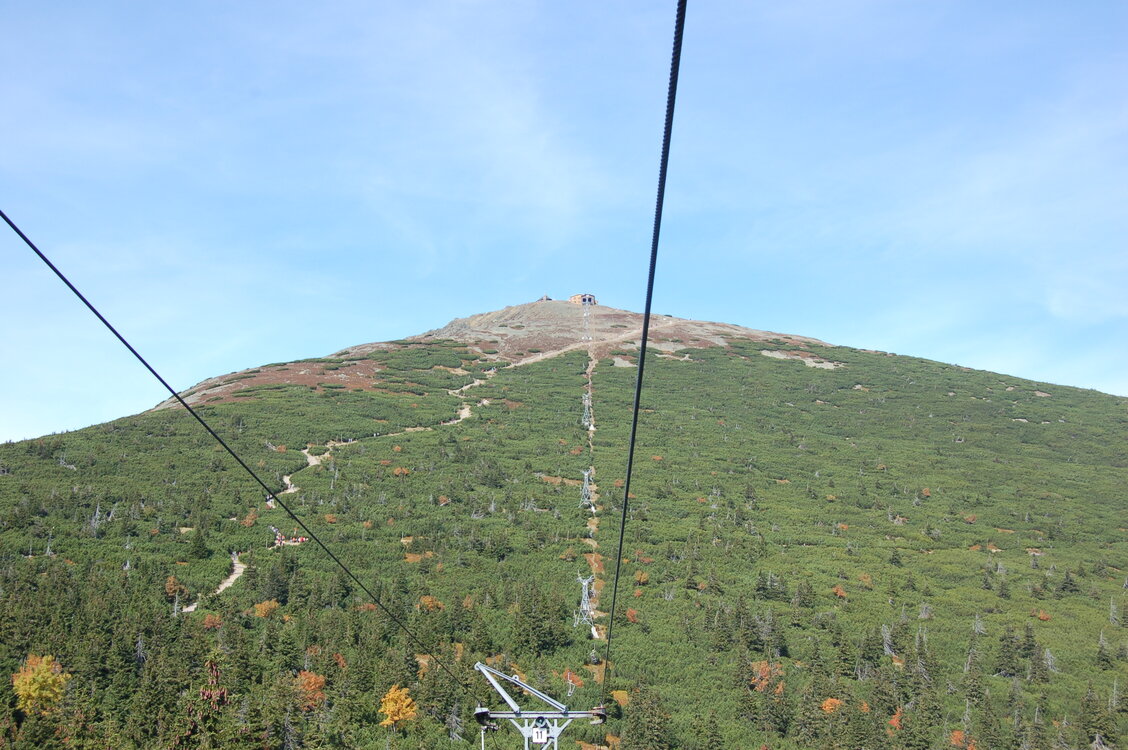 an1_008871.jpg