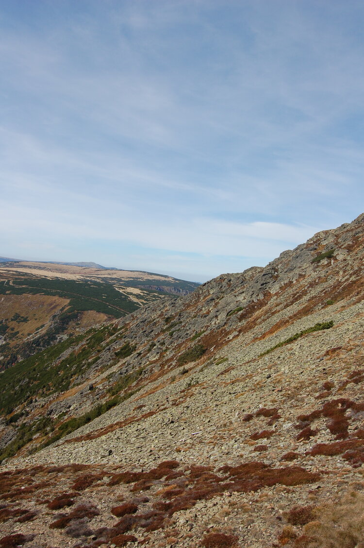 an1_008884.jpg