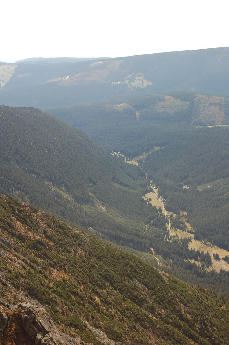 an1_008901.jpg