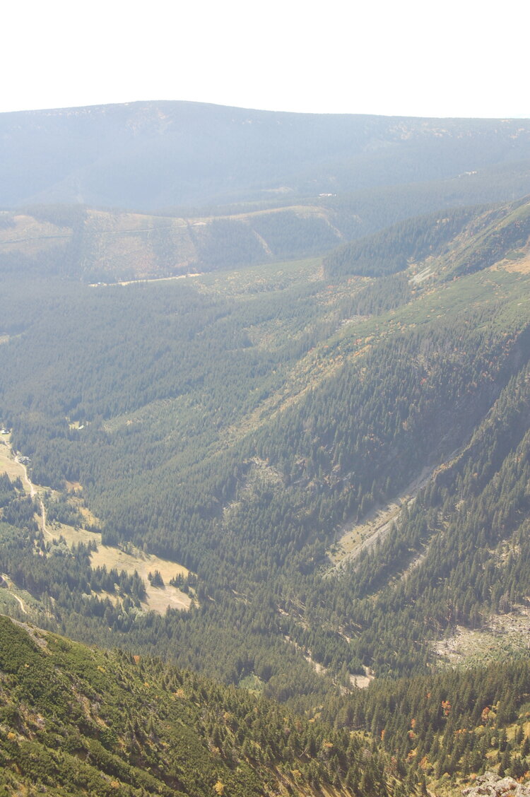 an1_008902.jpg