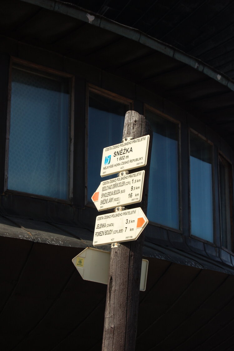 an1_008919.jpg