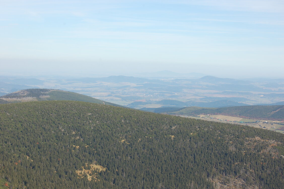 an1_008935.jpg