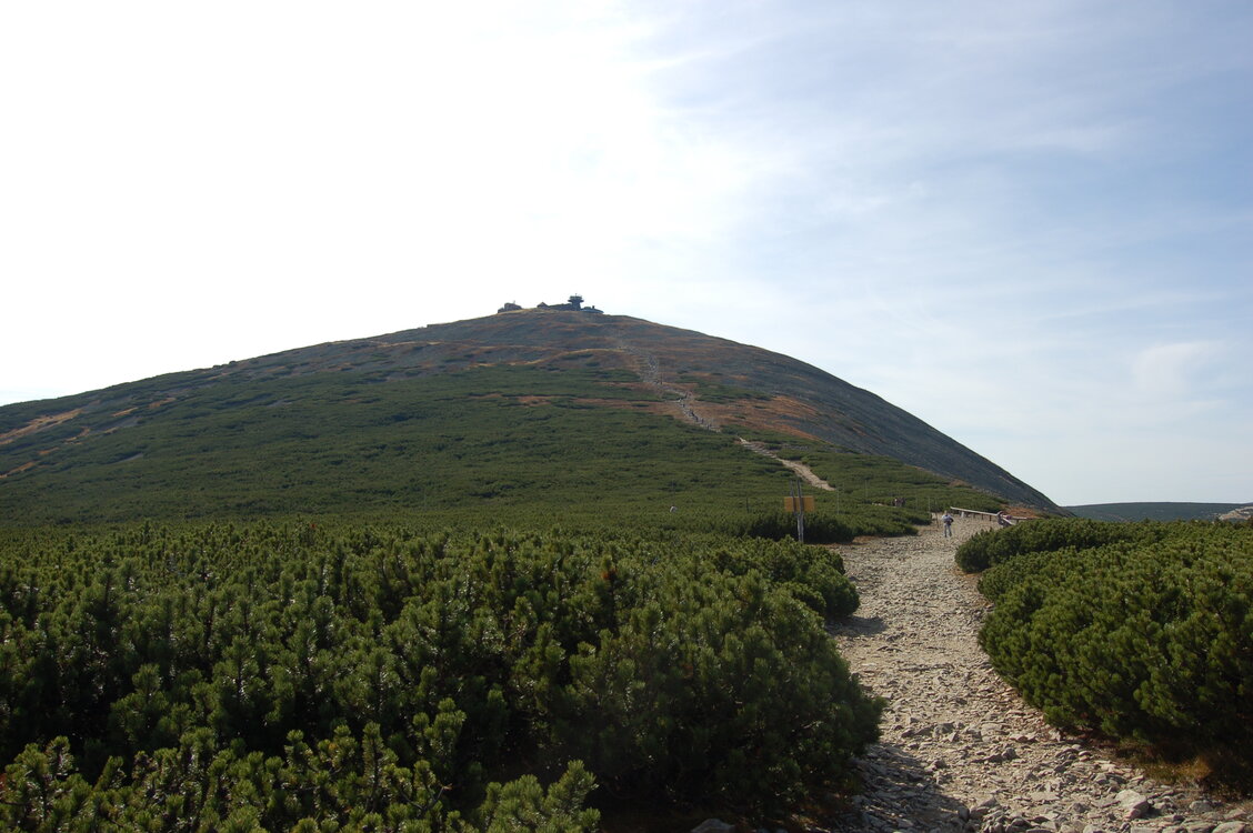 an1_008936.jpg