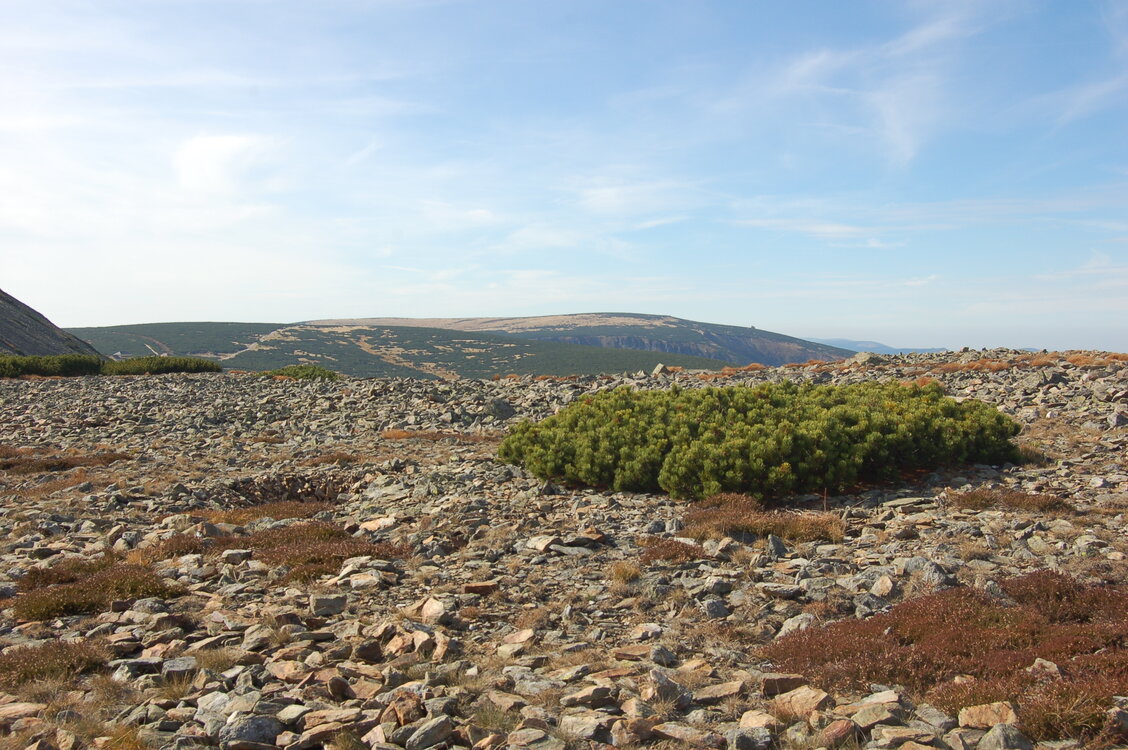 an1_008937.jpg