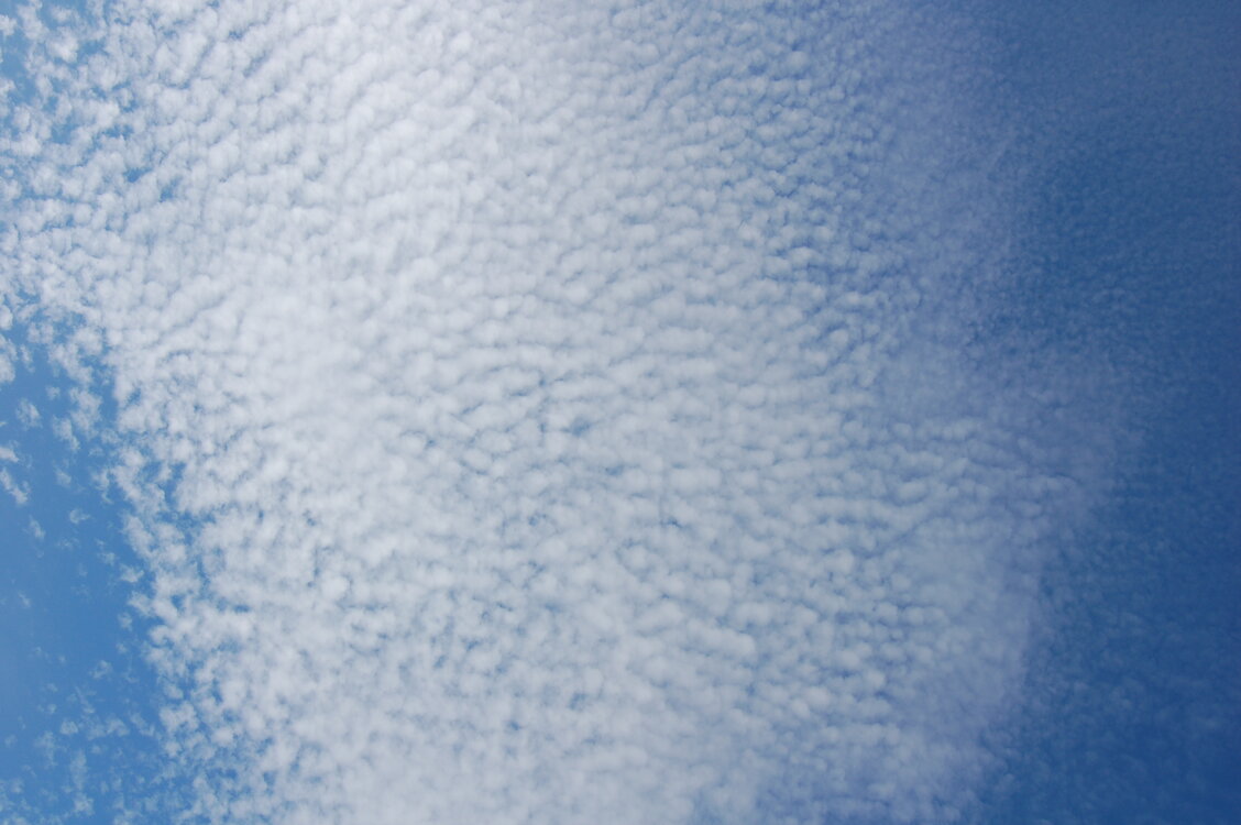 an1_008941.jpg
