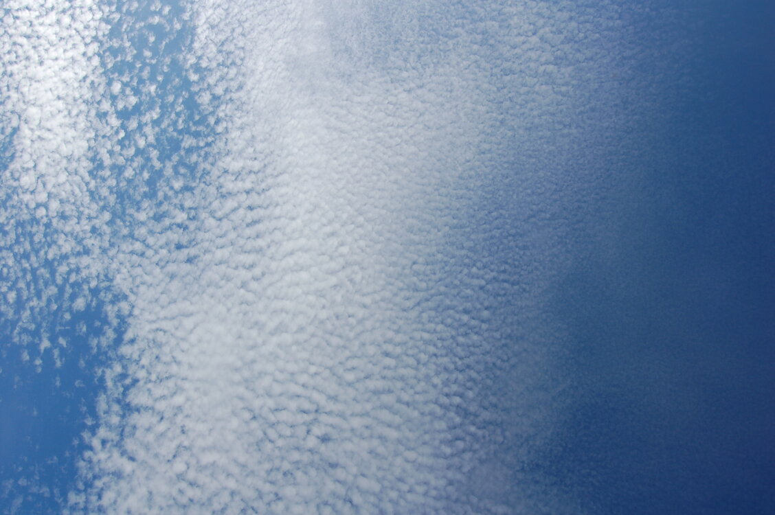 an1_008942.jpg