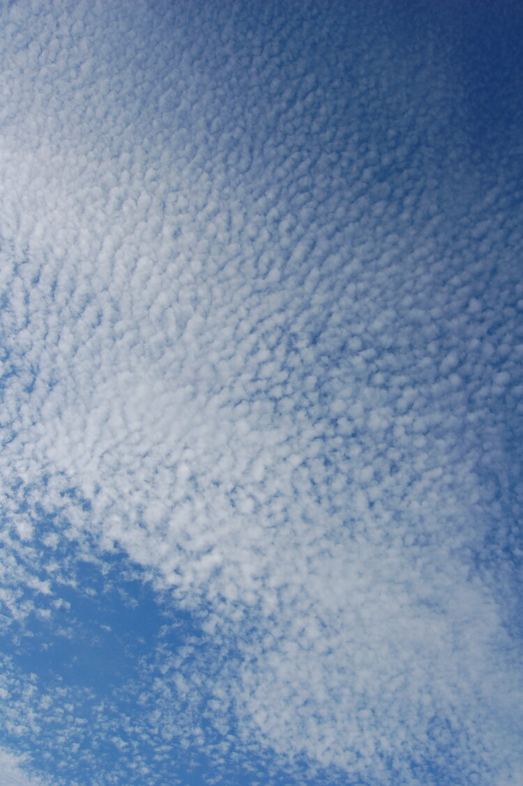 an1_008947.jpg