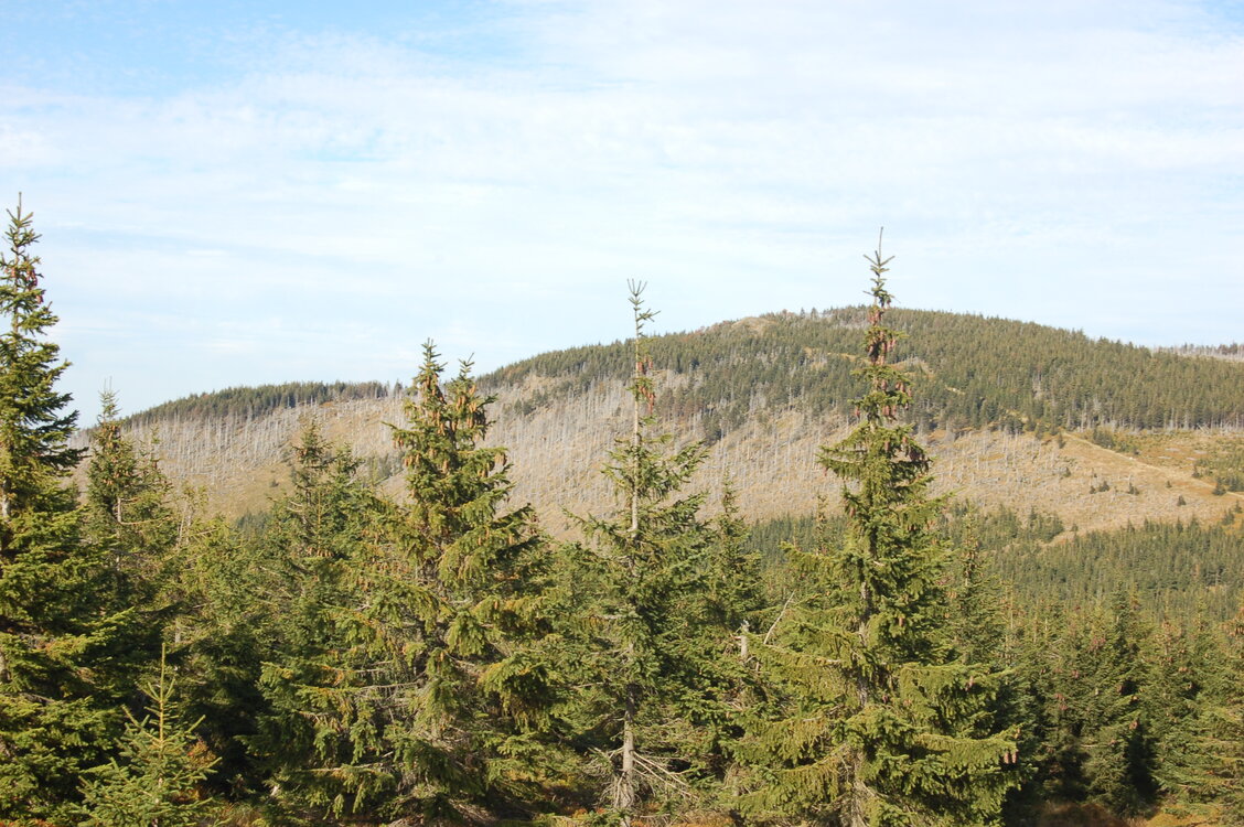 an1_008949.jpg
