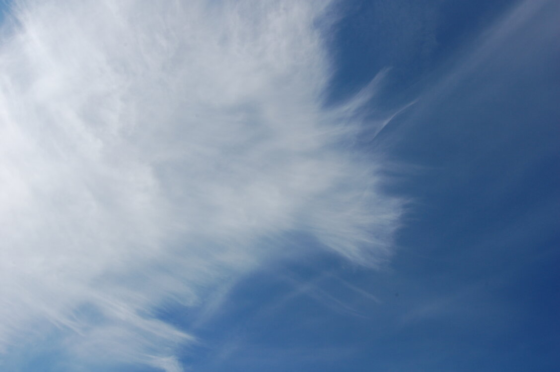 an1_008951.jpg