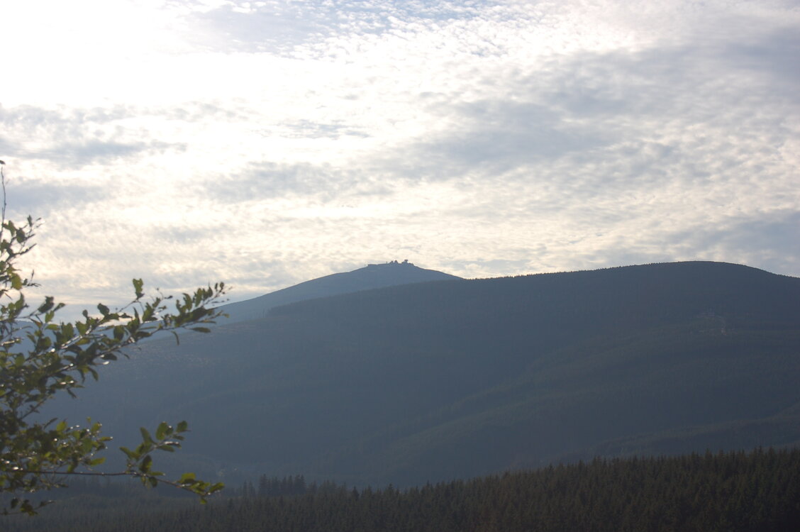 an1_008957.jpg