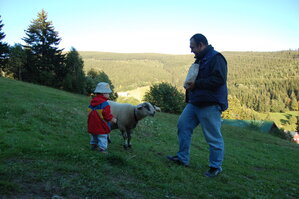 an1_008520.jpg