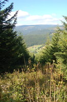 an1_008535.jpg