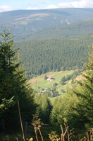 an1_008536.jpg