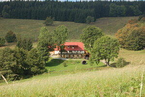 an1_008539.jpg
