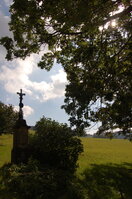 an1_008541.jpg