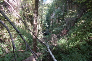 an1_008545.jpg