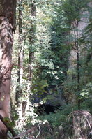 an1_008546.jpg