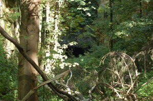 an1_008548.jpg